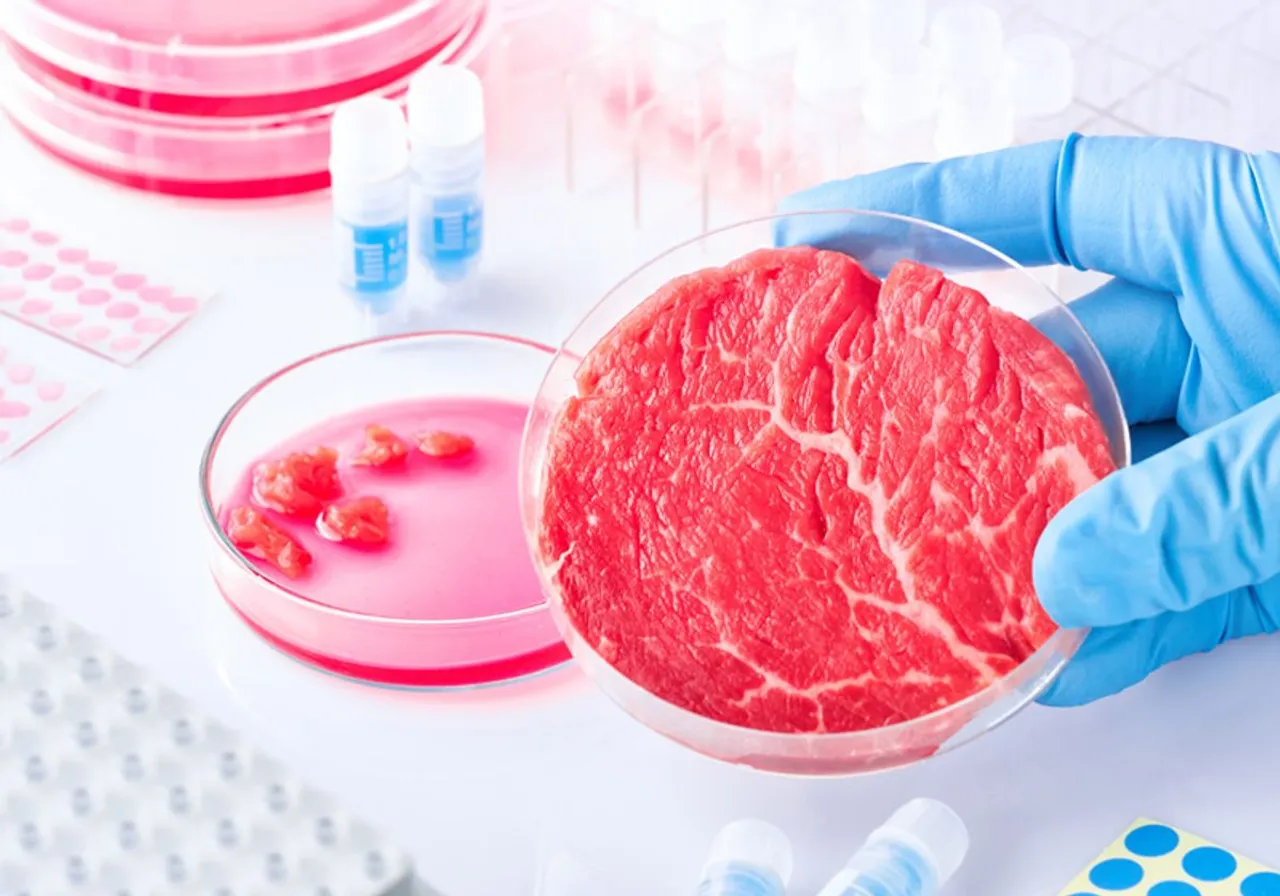 Lab-grown meat approved for sale in the US, but it may not be available in stores soon