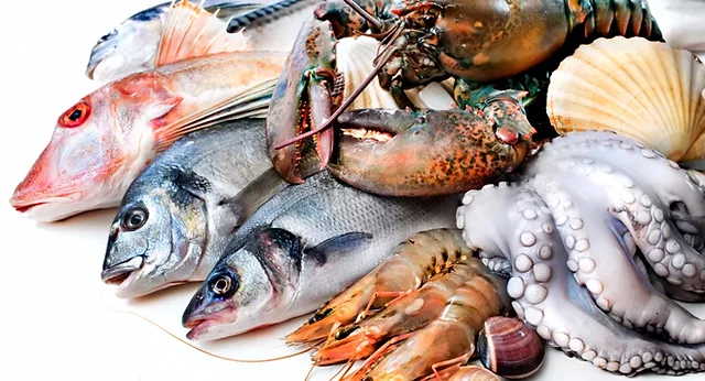 The focus today is on sustainable seafood startups