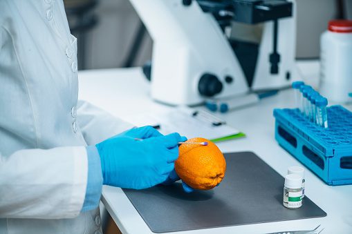 Can lab-grown fruit be a solution to food crises? Can lab-grown fruit be a solution to food crises?