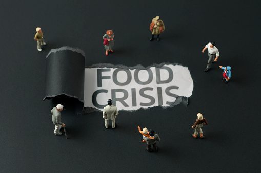 Addressing The Global Food Crisis through Sustainable Approaches