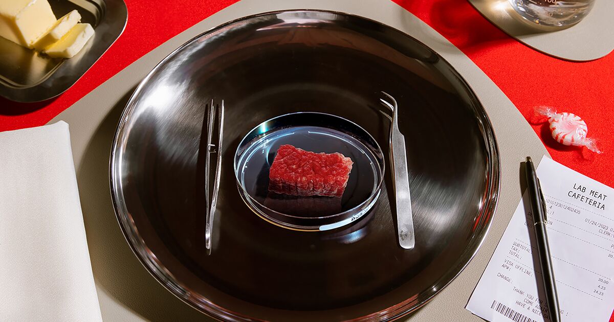 A food scientist says lab-grown meat has the potential to be sustainable, but it is still a distant goal for consumers