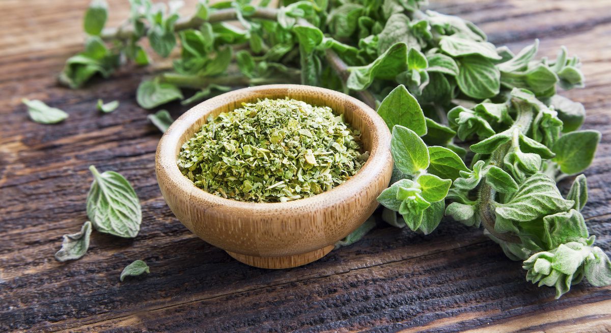 Oregano helps fight these 10 diseases