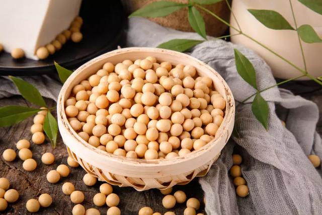 Soybean Derivatives Market to Witness Stunning Growth with a CAGR of 8.1%