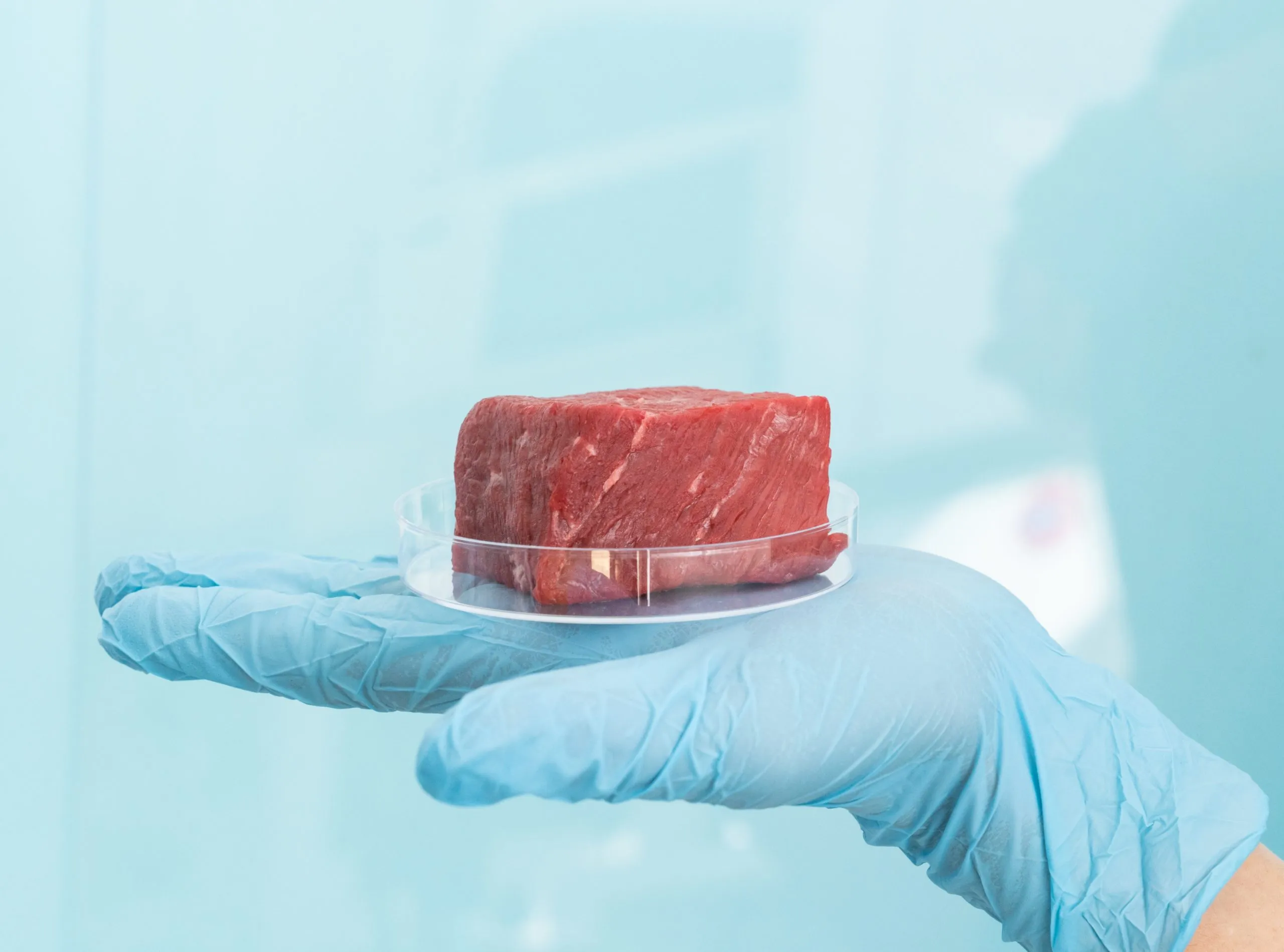The Potential Cost Efficiency of Lab-Grown Meat