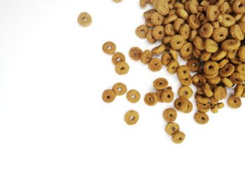 An innovative agritech company from India is leveraging insect protein to produce eco-friendly feed protein