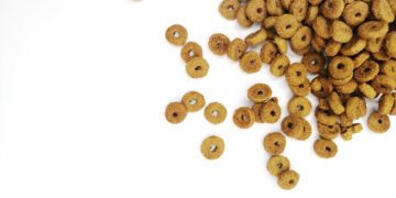 An innovative agritech company from India is leveraging insect protein to produce eco-friendly feed protein