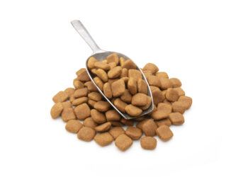 A company based in the Czech Republic has introduced a new type of pet food made from lab-grown meat