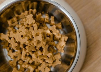 The journey towards commercialization of cultured pet food products advances as Noochies! seeks regulatory clearance.