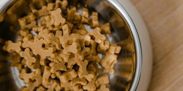 The journey towards commercialization of cultured pet food products advances as Noochies! seeks regulatory clearance.