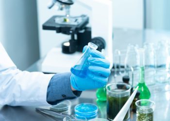 To improve the taste of lab-grown meat, this Singaporean startup cultivates fish fats