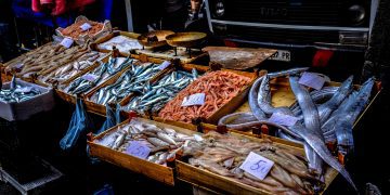 By 2031, alternative seafood markets will expand robustly