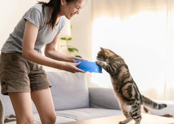 Pet food made from ethical, sustainable sources is gaining popularity among Australians