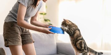 Pet food made from ethical, sustainable sources is gaining popularity among Australians