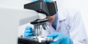 Lab-grown meat investments by Asian countries could revolutionize the industry Achieving multibillion-dollar growth for lab-grown meat with Sallea