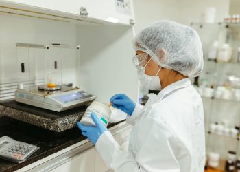 The FSA says lab-grown meat will soon be available
