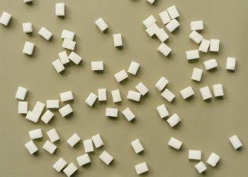 Researchers at NUS use sugar cubes to build rye scaffolds for cultivated meat Researchers at NUS use sugar cubes to build rye scaffolds for cultivated meat