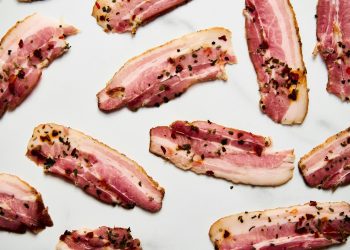 The Cultivated Meat Pork’s Out on Sorghum Proteins