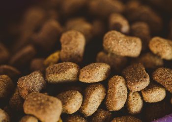 A new investment ahead of 2025 launches Meatly’s cultivated chicken