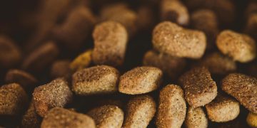 A new investment ahead of 2025 launches Meatly’s cultivated chicken