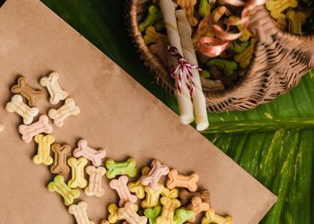 Canadian and UK firms unite for plant-based pet food advancement