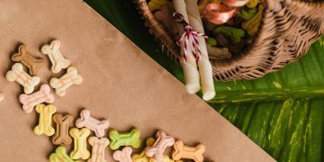 Canadian and UK firms unite for plant-based pet food advancement