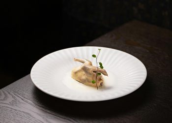 Public Consultation Seeks Feedback on Potential Approval of Cultivated Meat in Australia